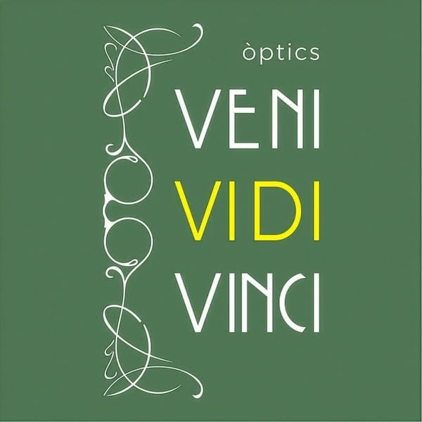 Veni vidi vinci